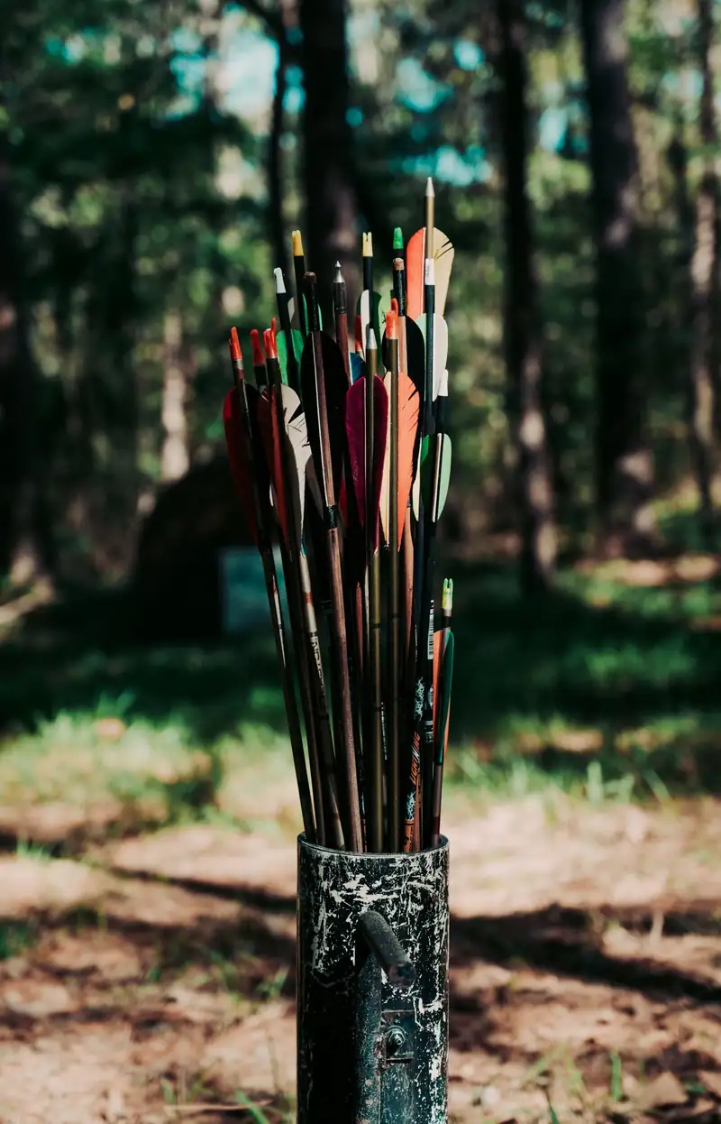 Pfeile in einem Köcher im Wald
